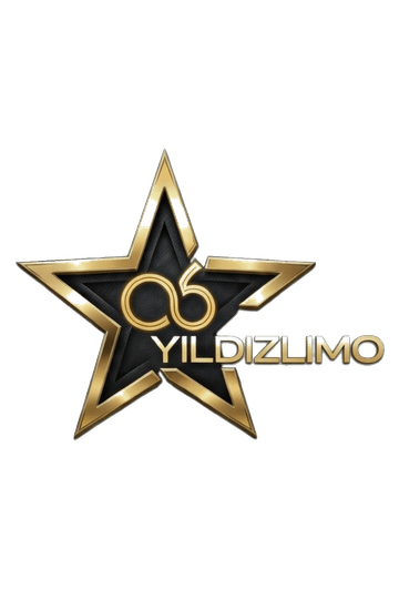 06YILDIZ LIMO Logo