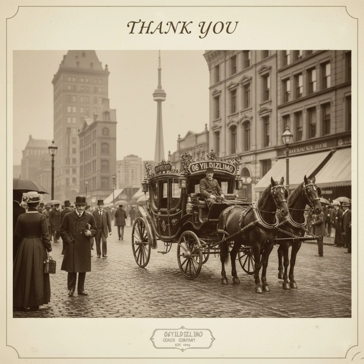 Luxury limousine fleet